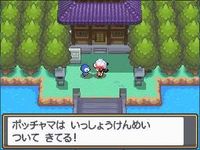 une photo d'Ã©cran de Pokemon Version Argent SoulSilver sur Nintendo DS